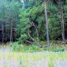 images/Schweden/Schweden 2009/IMG_4488.jpg
